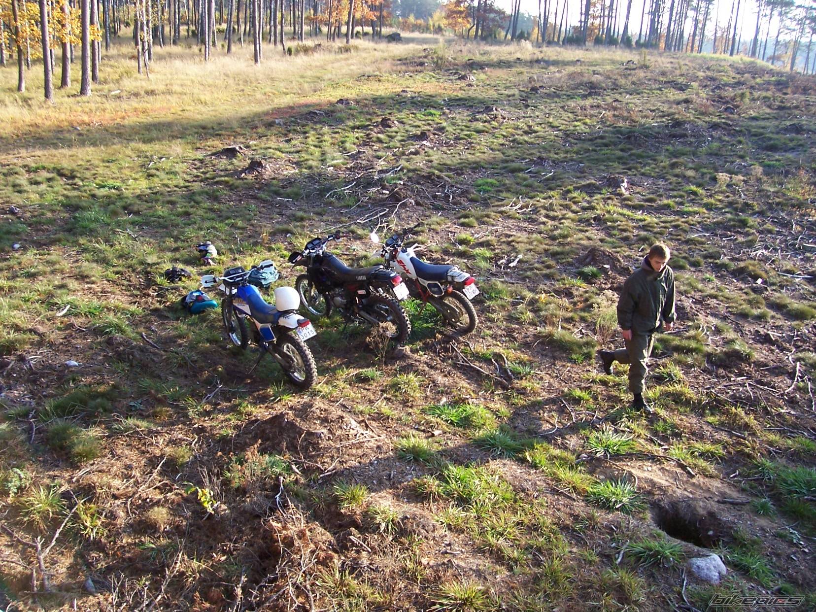 Bike Photo 456301