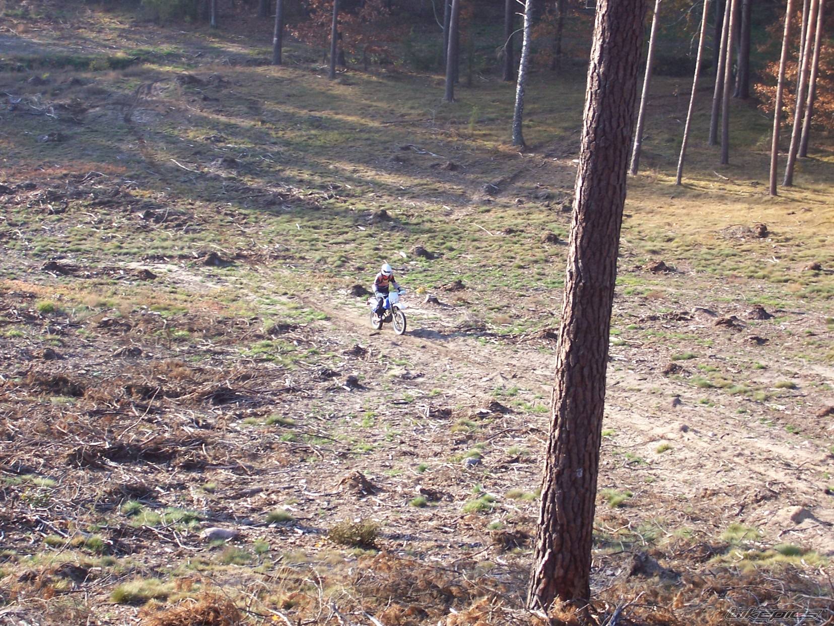 Photo 456312