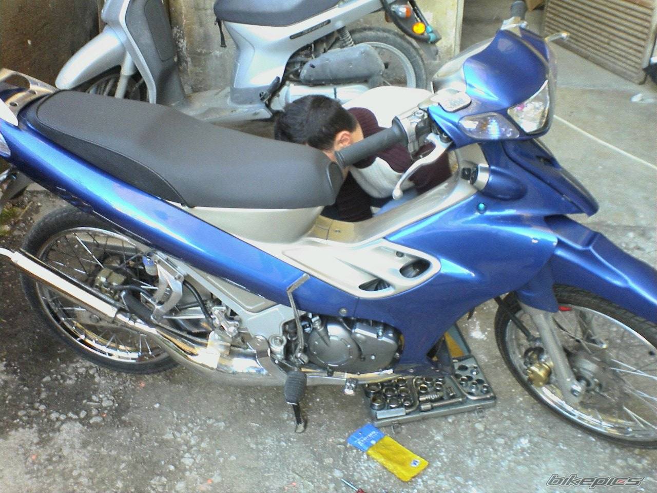 Photo 456616