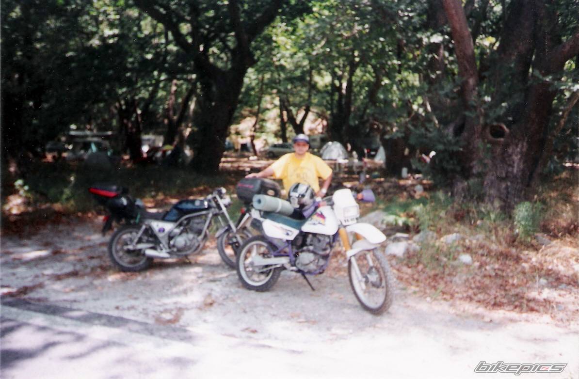 Photo 457877