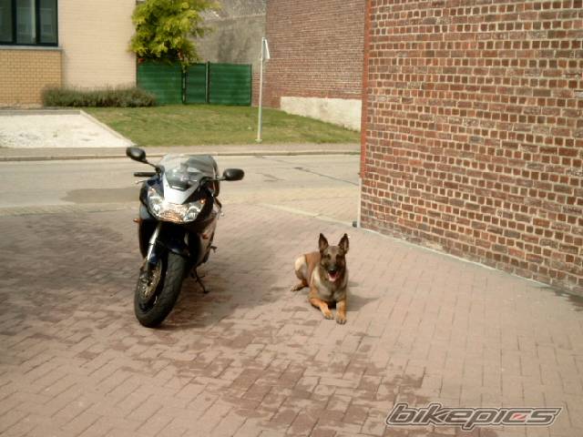 Photo 457928