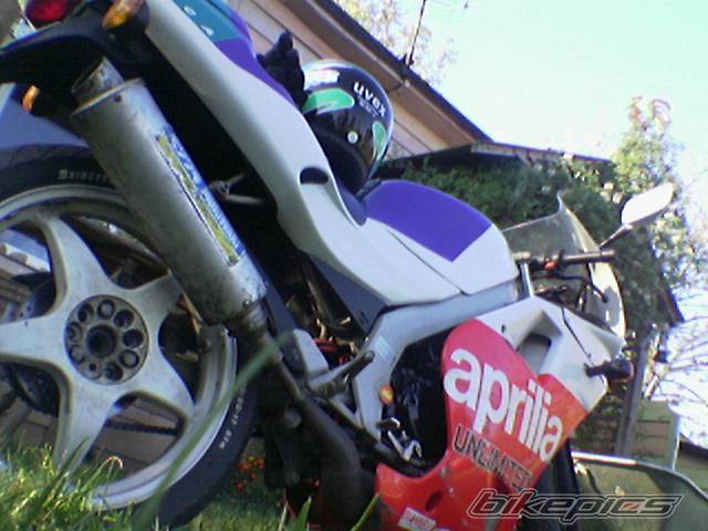 Photo 458670