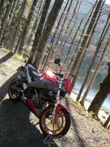 Photo 462128