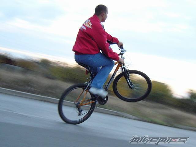 Bike Photo 462671