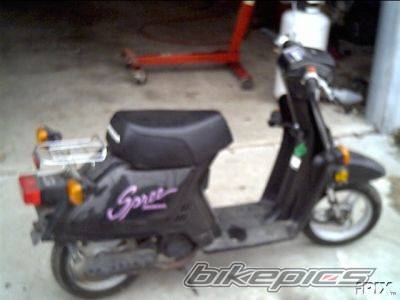 Photo 46499