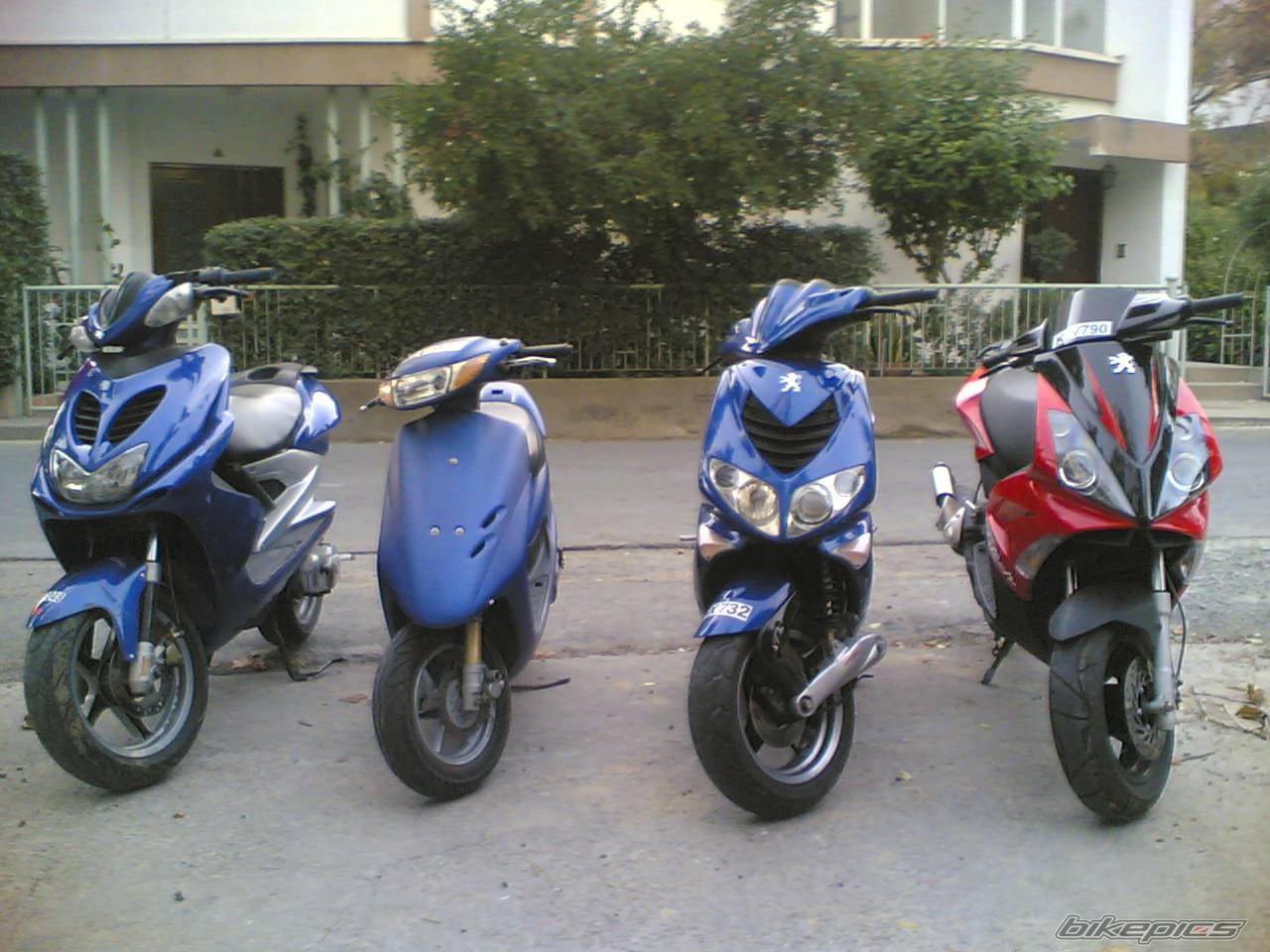 Photo 466132