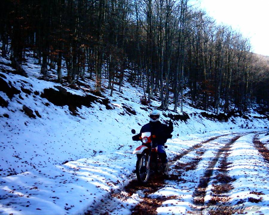 Bike Photo 466975