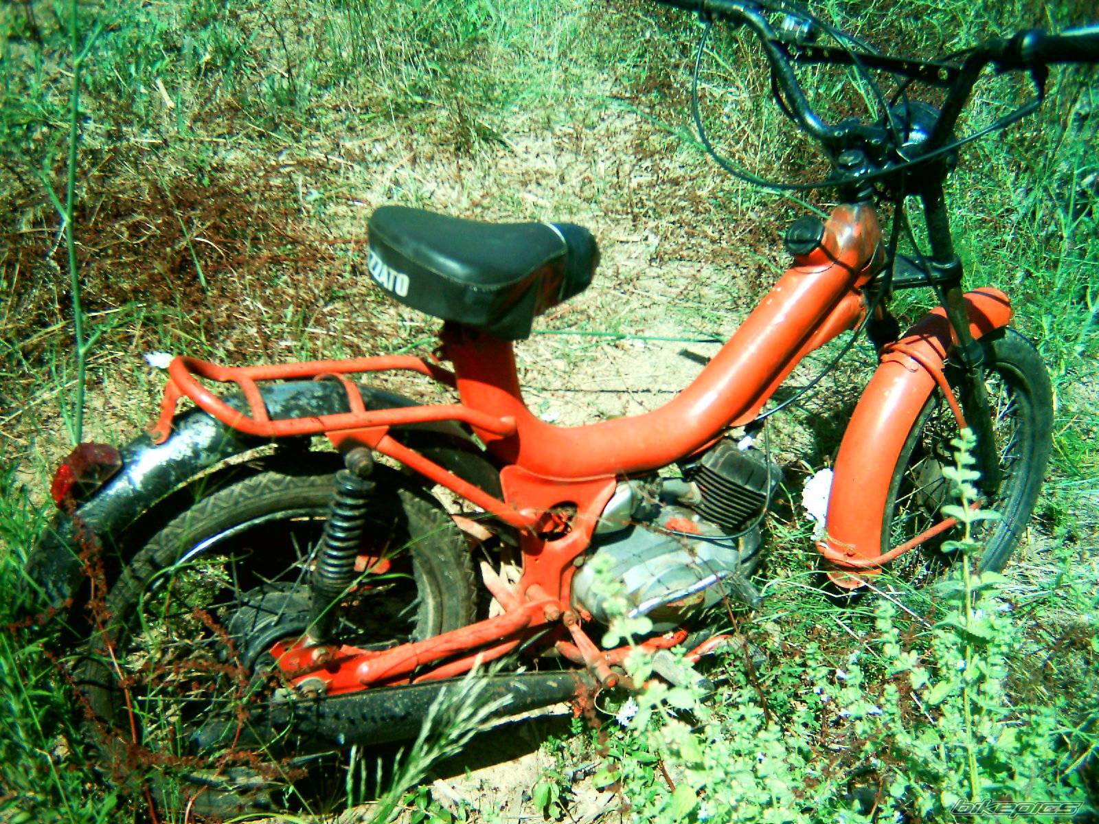 Photo 469594
