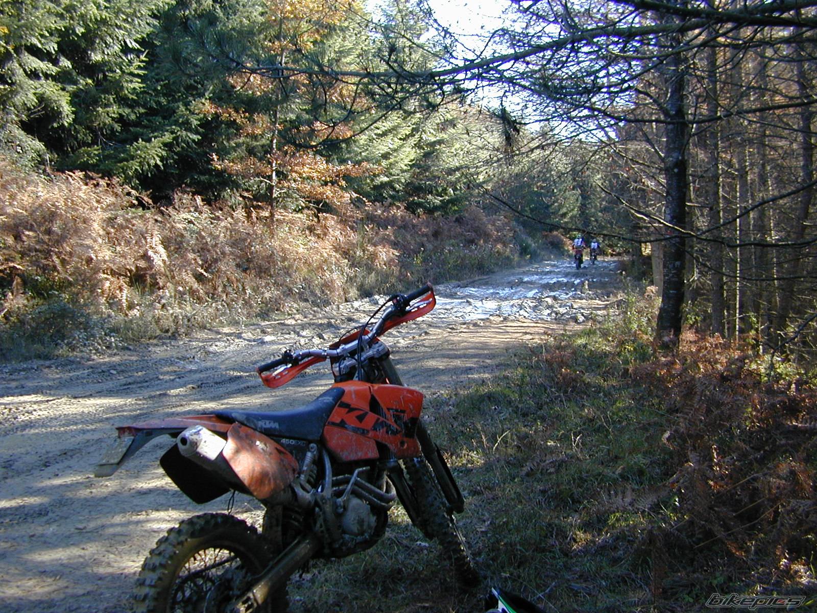 Bike Photo 470436