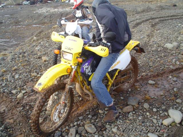Photo 470509