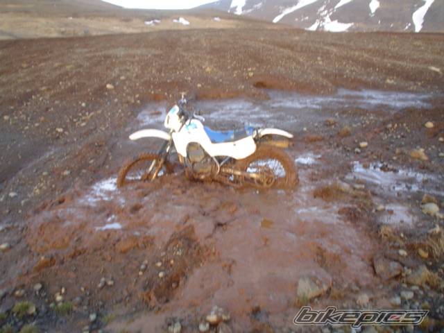 Photo 470515