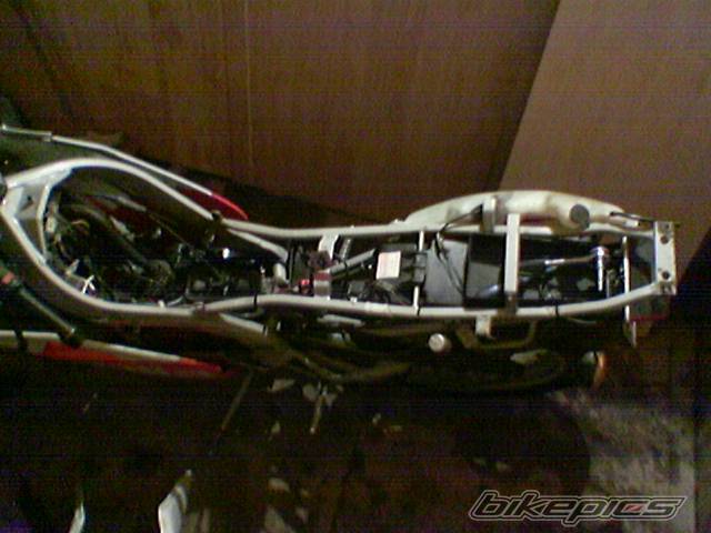 Photo 470521