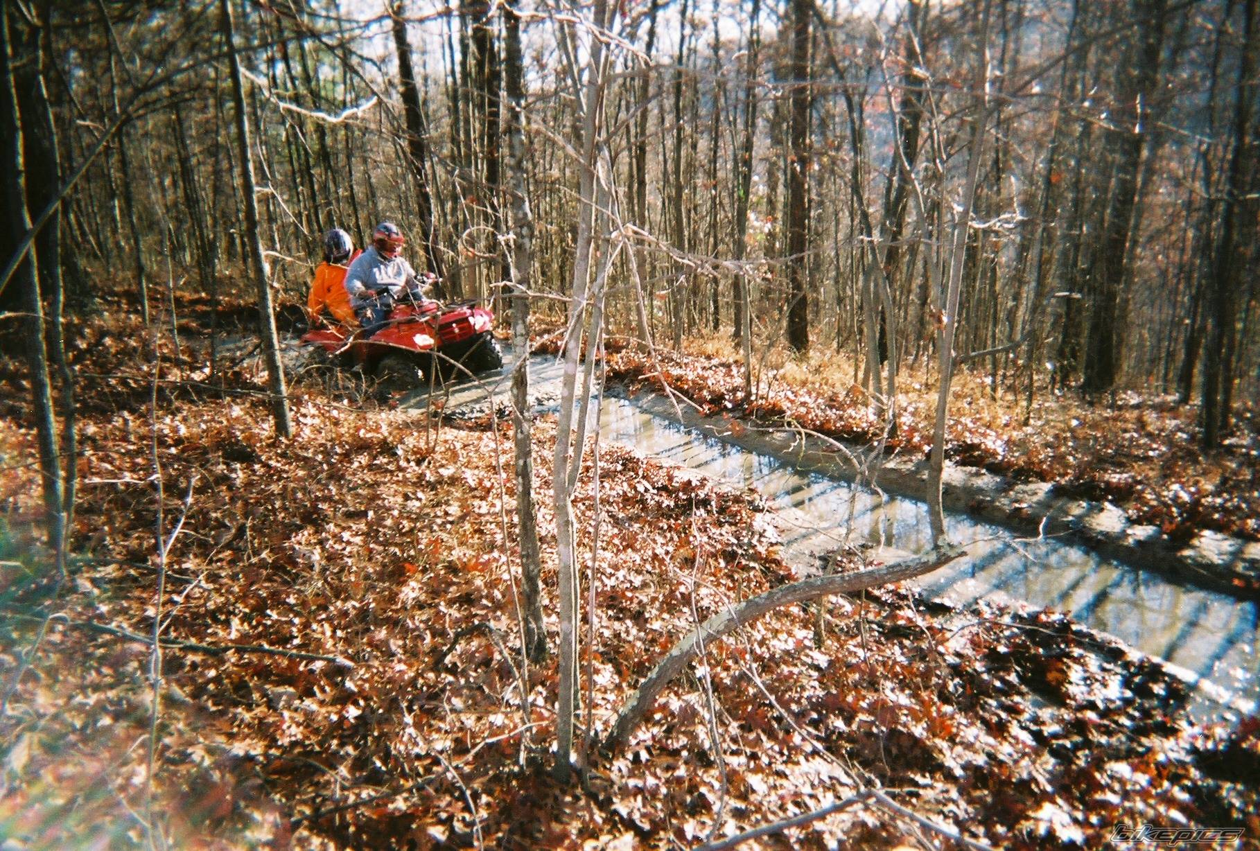 Photo 471472