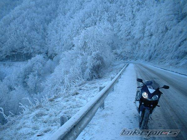 Bike Photo 474671