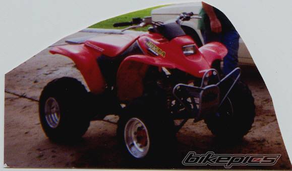 Photo 48120