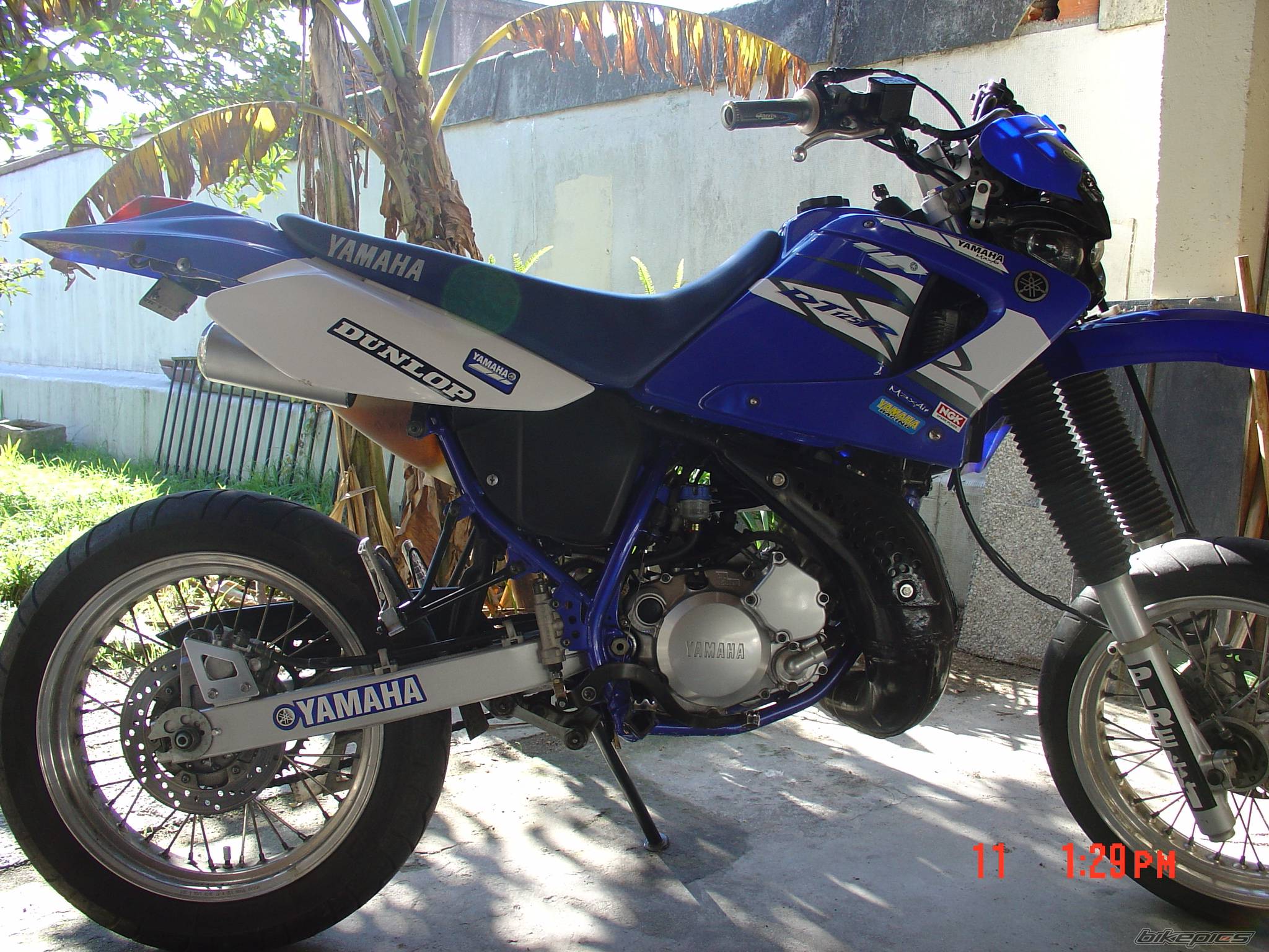 Bike Photo 481966