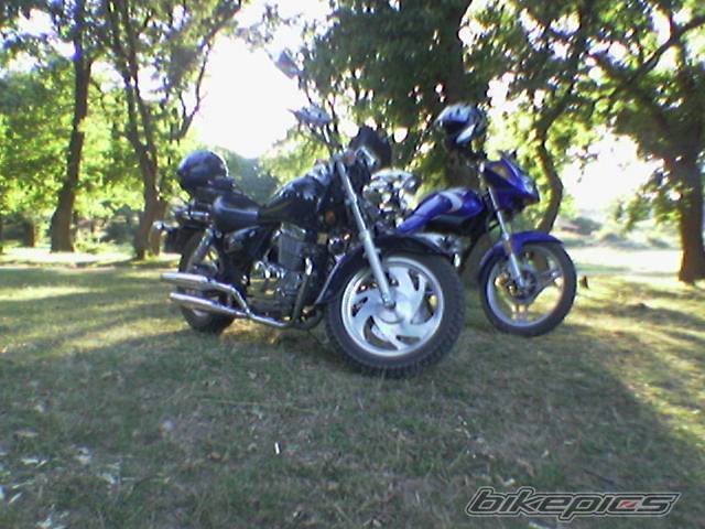 Bike Photo 482563