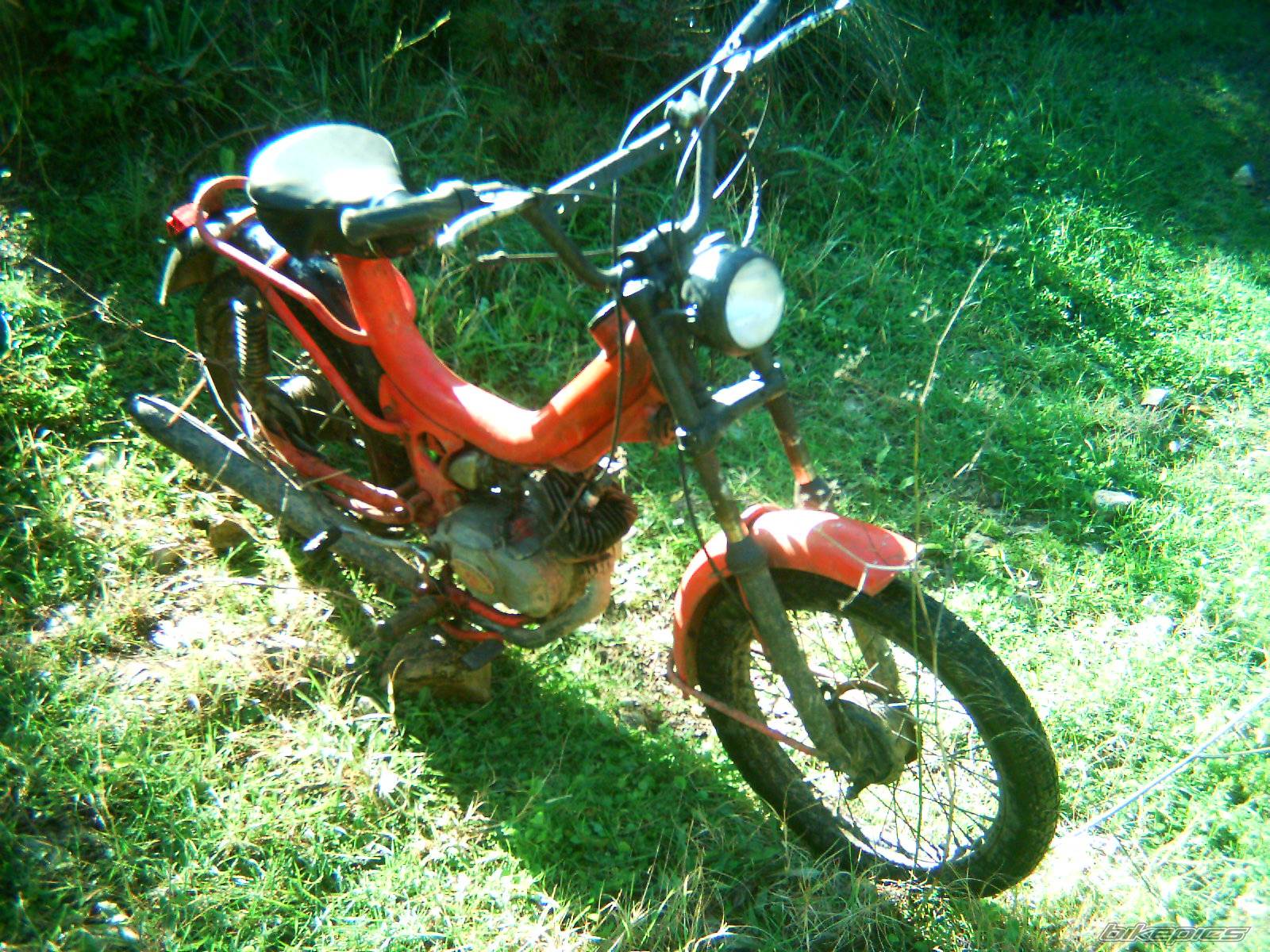 Photo 486117