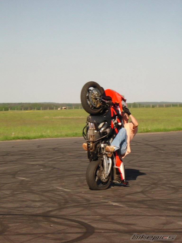 Photo 487442