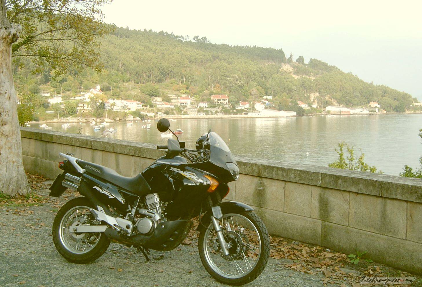 Bike Photo 492788