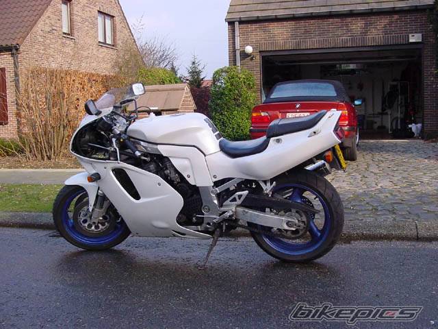 Photo 4951