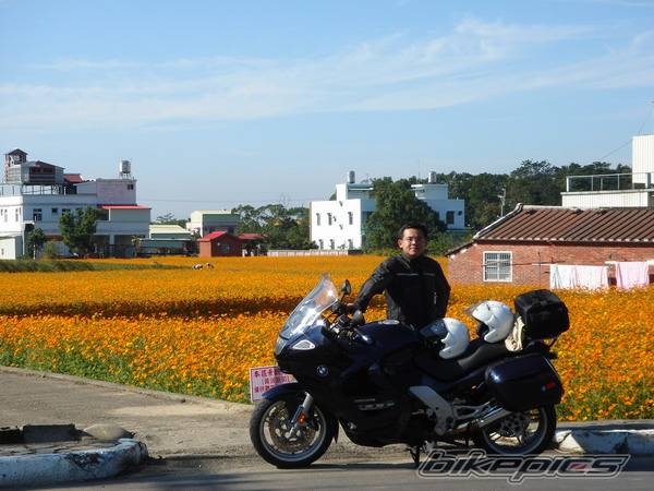 Photo 496642