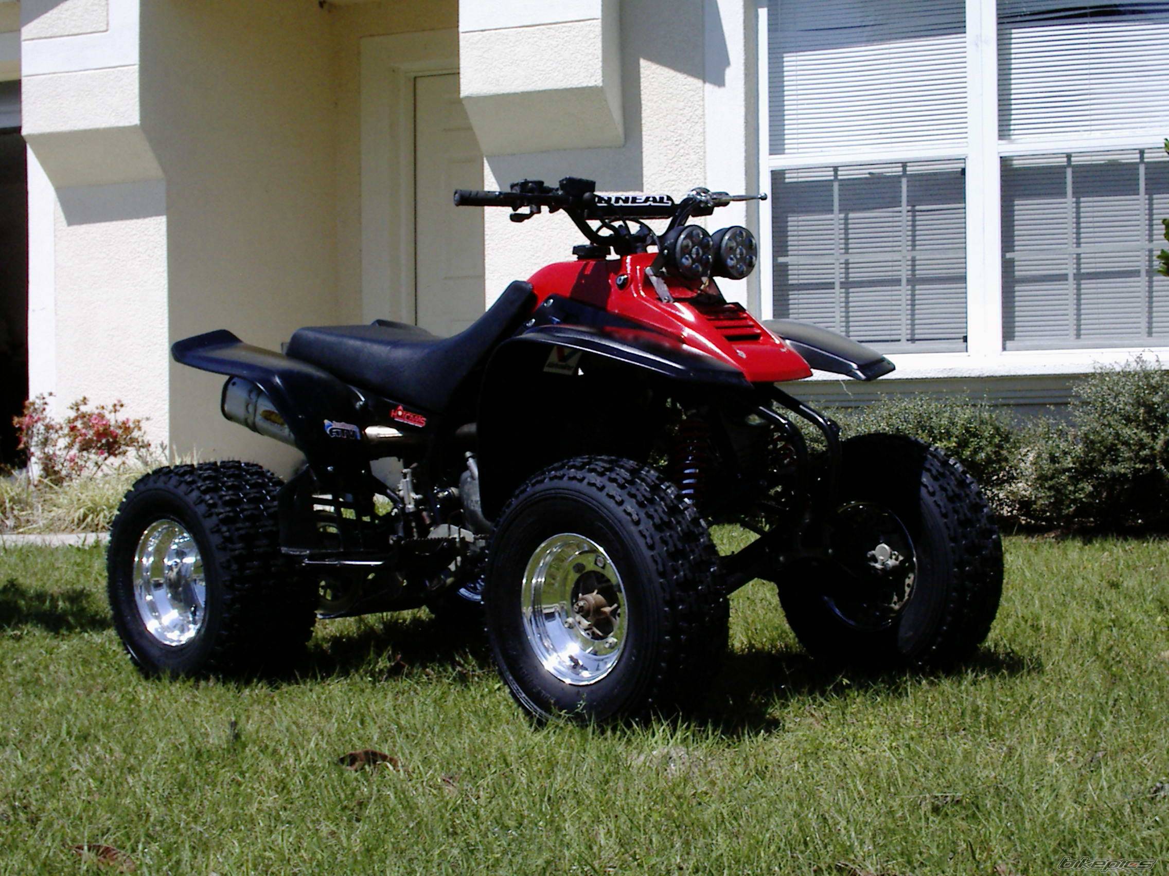Photo 497245