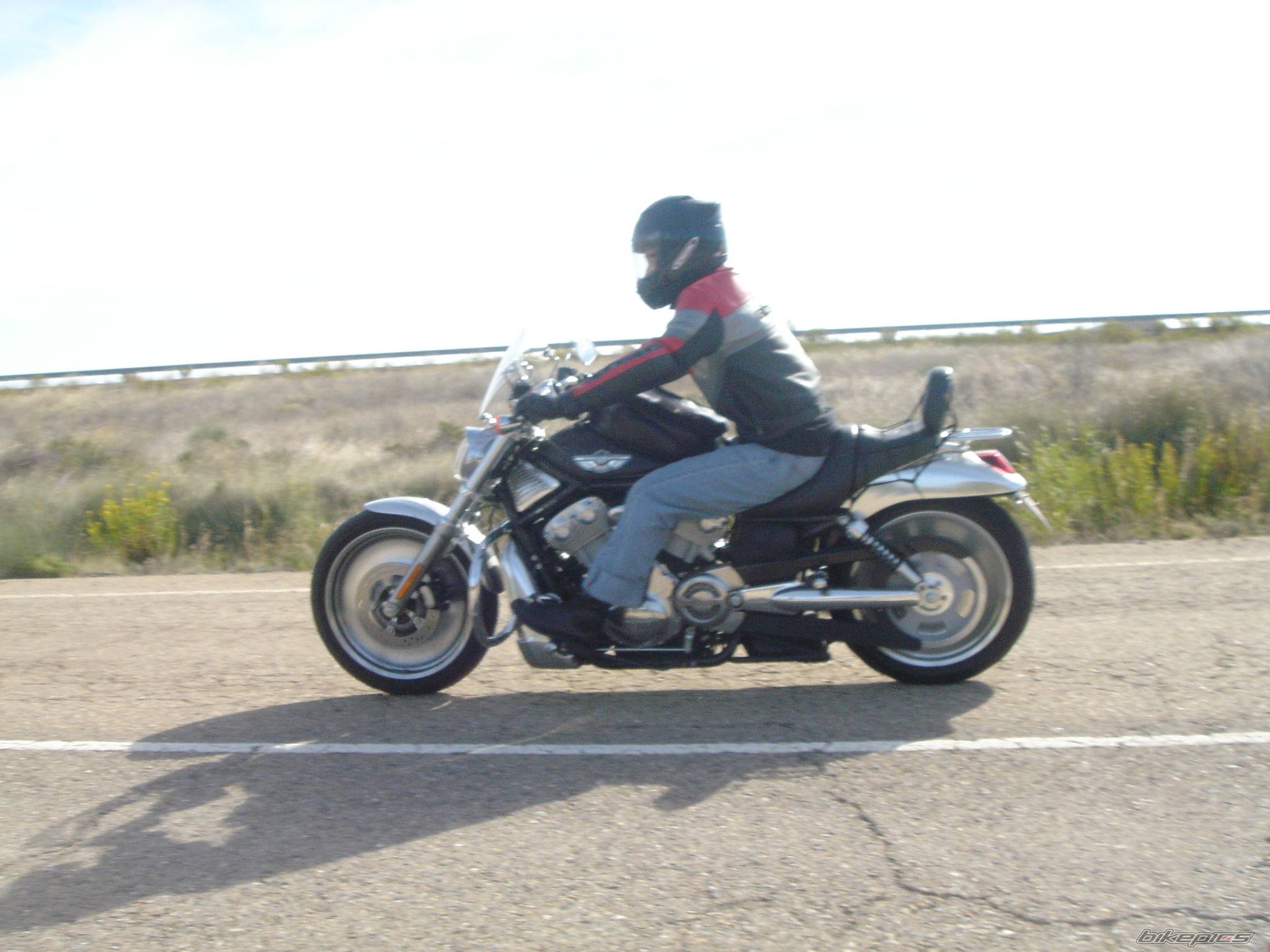 Photo 497989