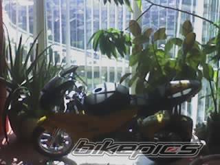 Photo 502981