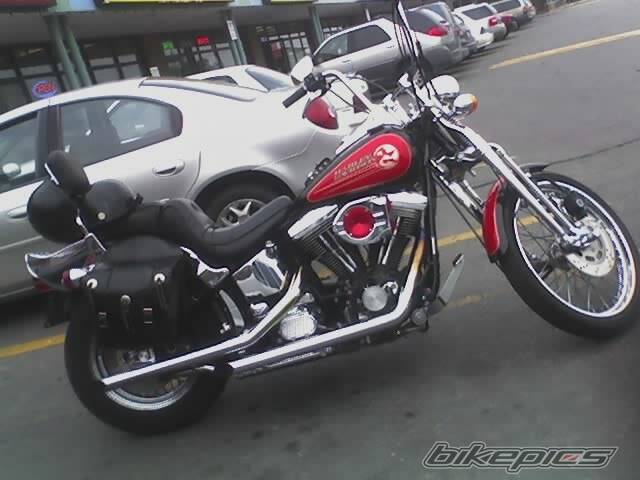 Photo 502988