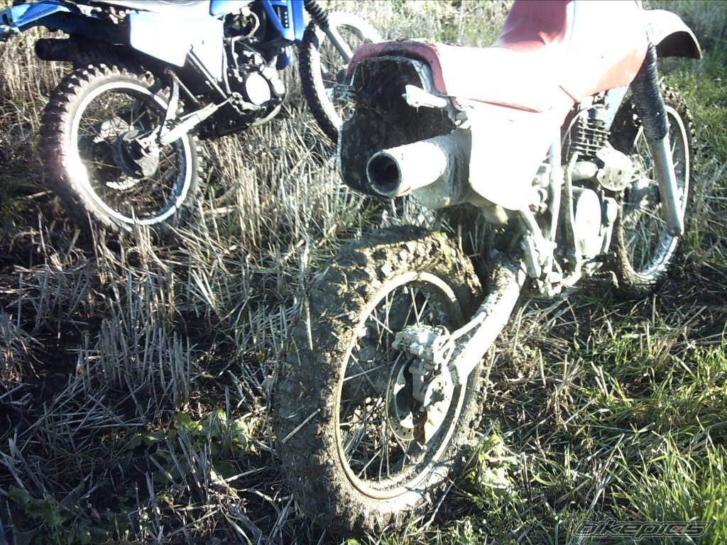Bike Photo 503458