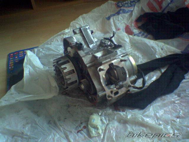 Bike Photo 508155