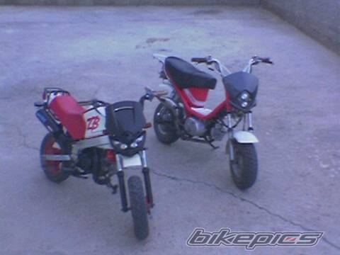 Photo 512277