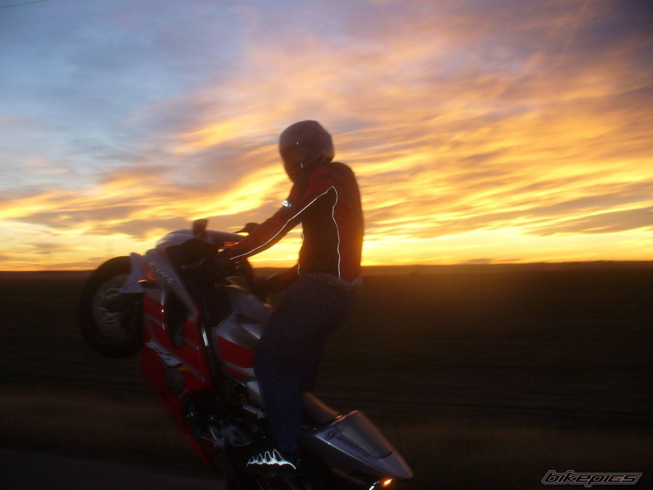 Photo 513830