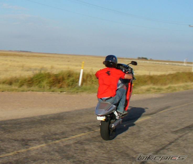 Photo 513832