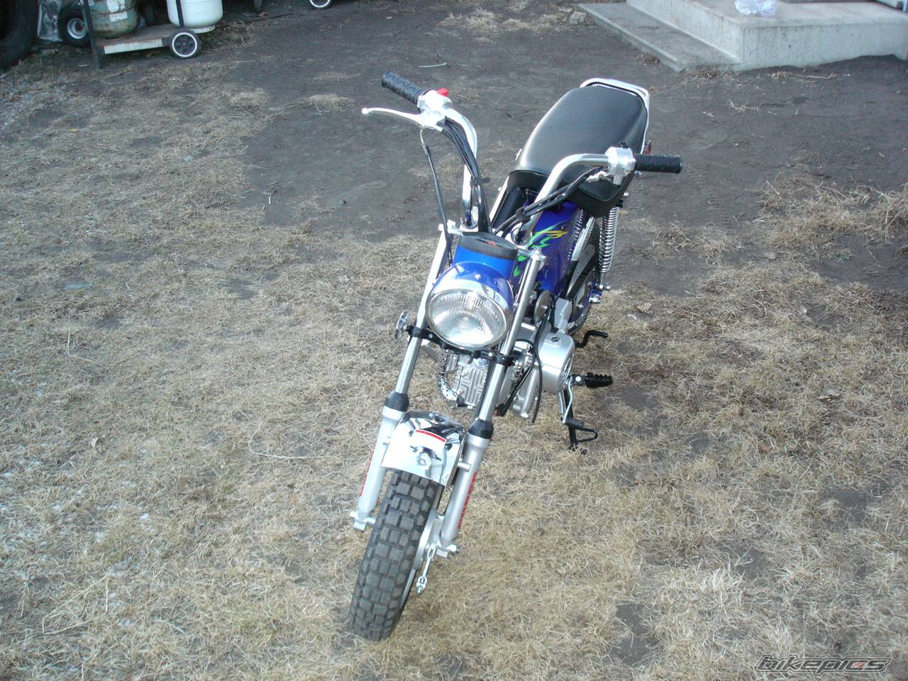 Photo 516443