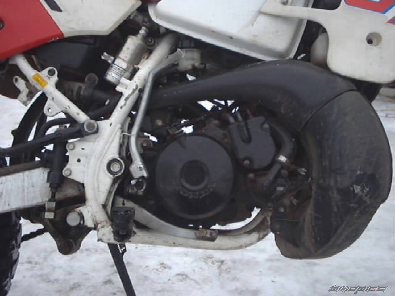 Bike Photo 531921