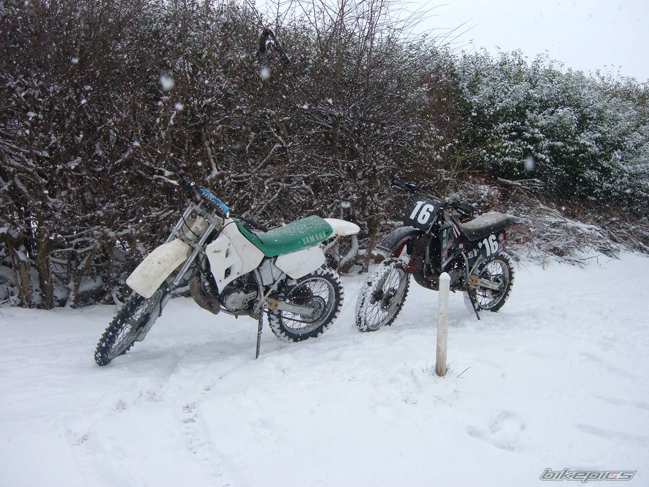 Bike Photo 539639