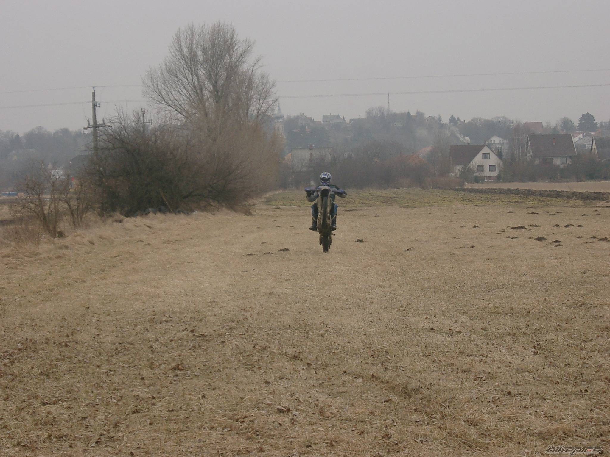Photo 541946