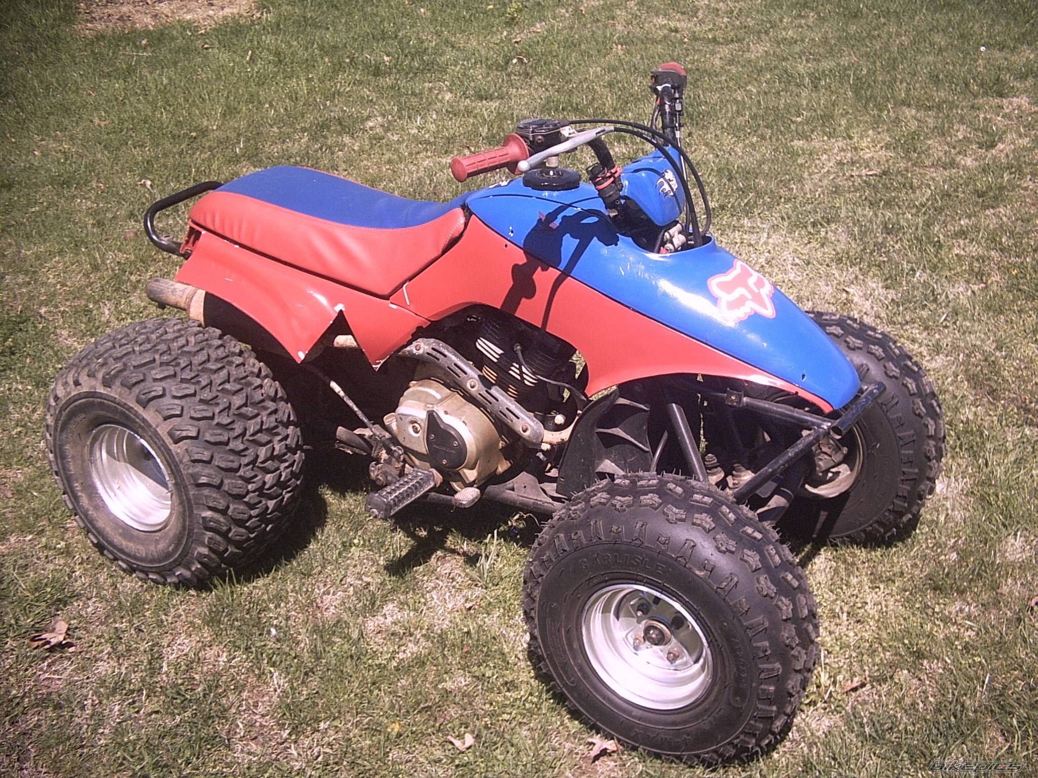 Bike Photo 559790