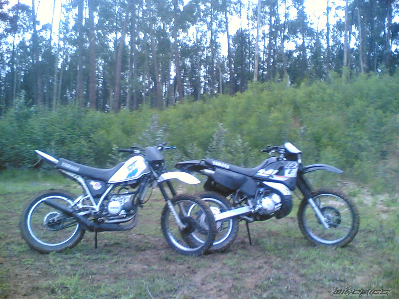Bike Photo 561630