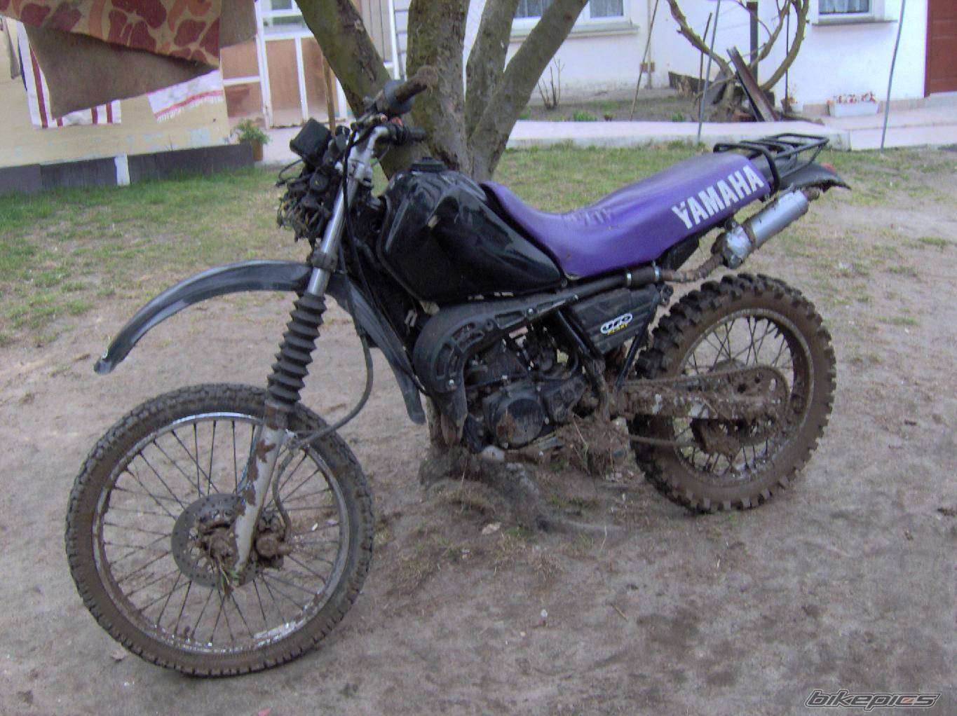 Bike Photo 561909