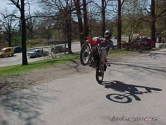 Photo 563421