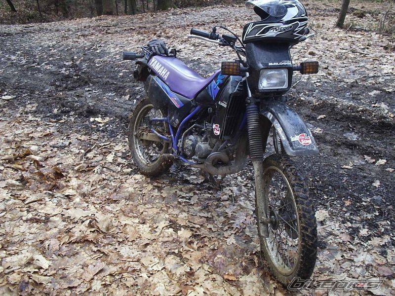 Bike Photo 563512