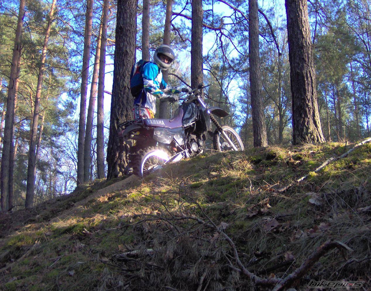 Bike Photo 563729