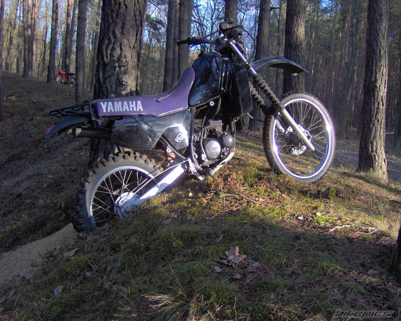 Bike Photo 563732