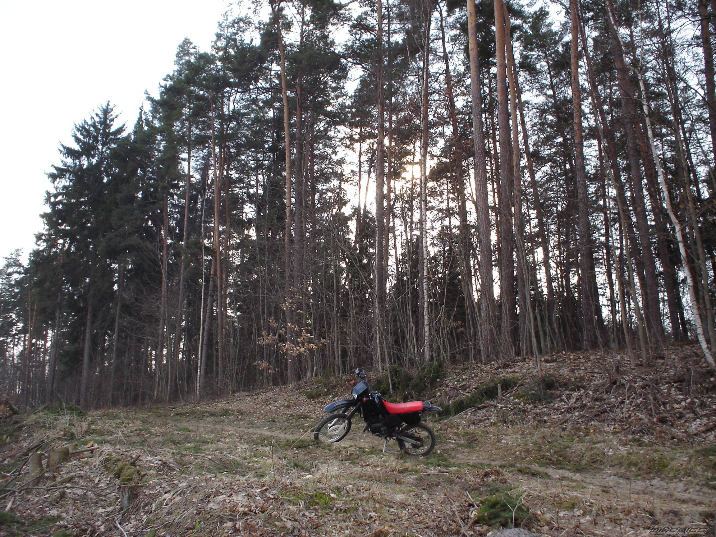 Bike Photo 580716