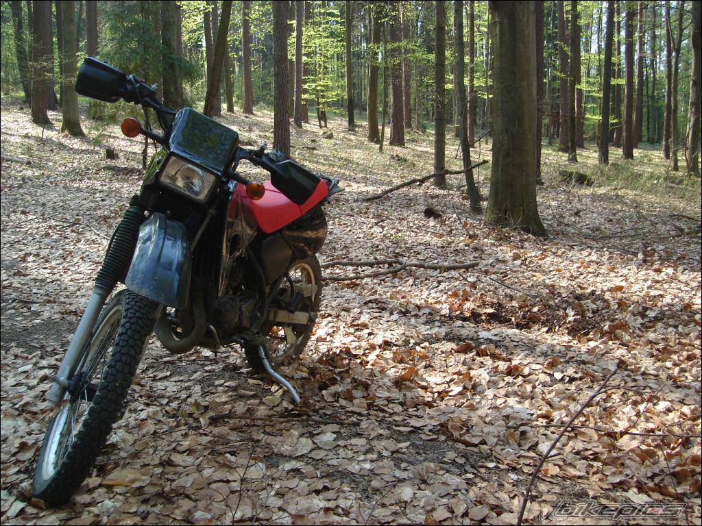 Bike Photo 580736