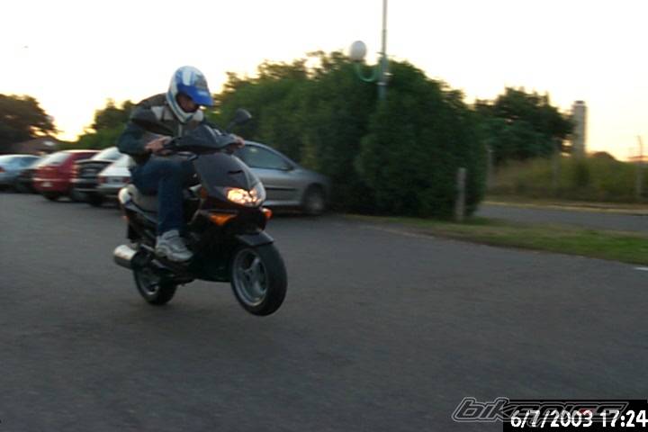 Photo 58358