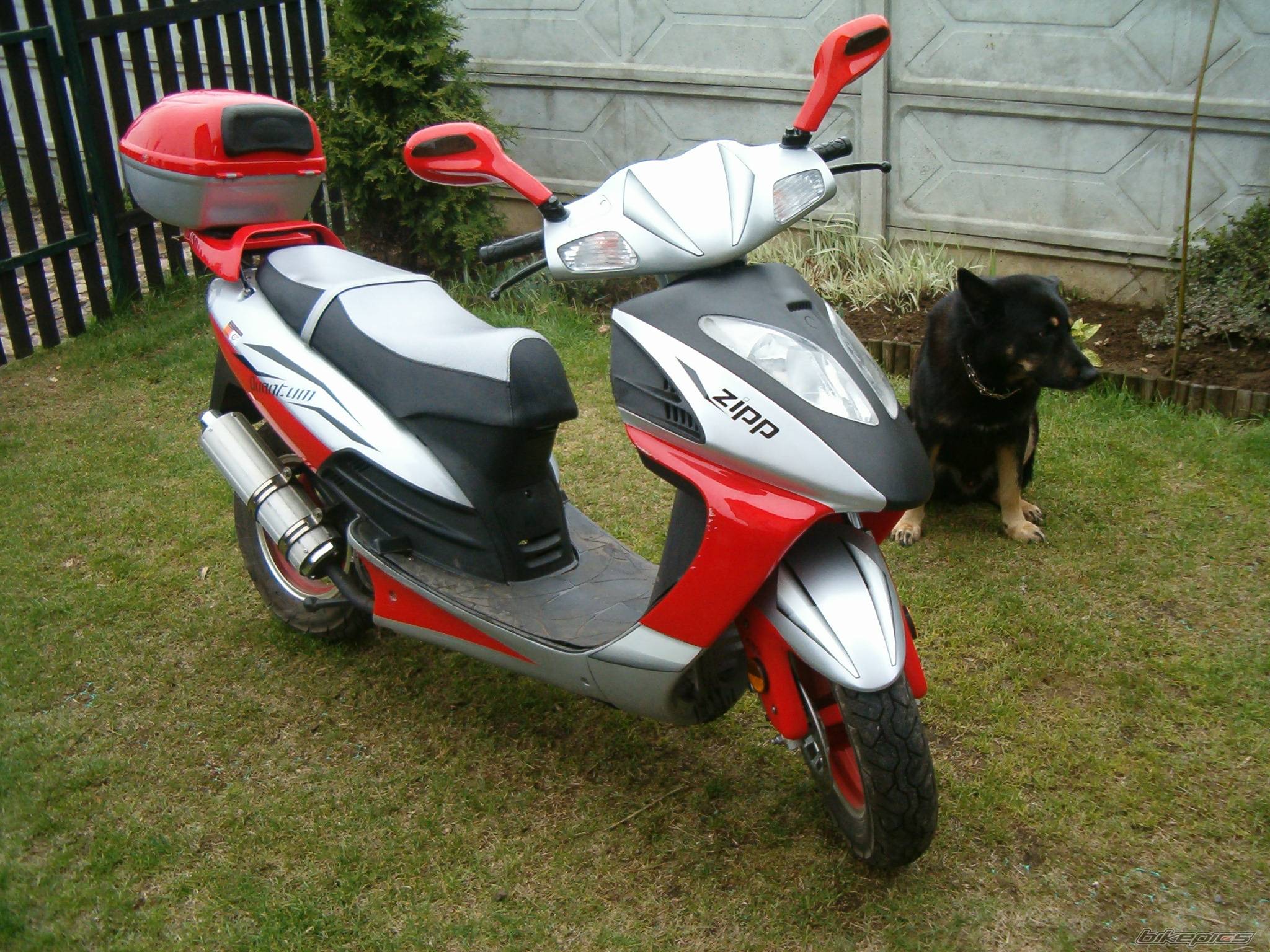 Photo 585690